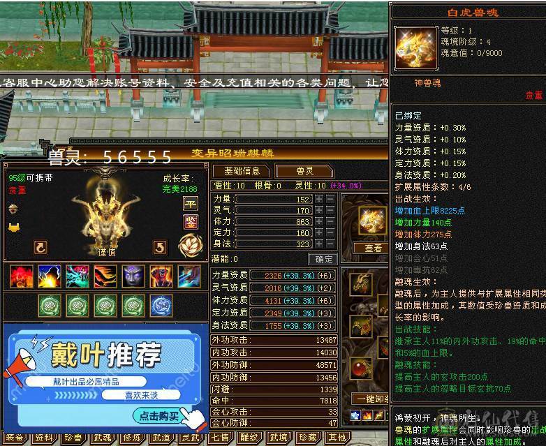 戴叶推荐--极限5带6 五修高伤气武当