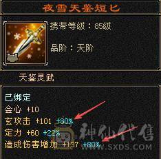 戴叶推荐--极限5带6 五修高伤气武当