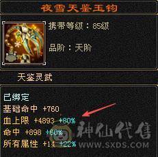 戴叶推荐--极限5带6 五修高伤气武当