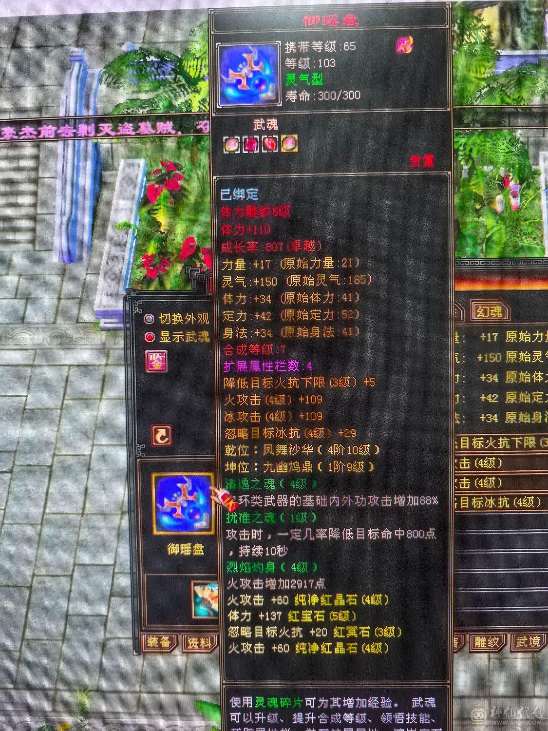 5体5属双休逍遥  