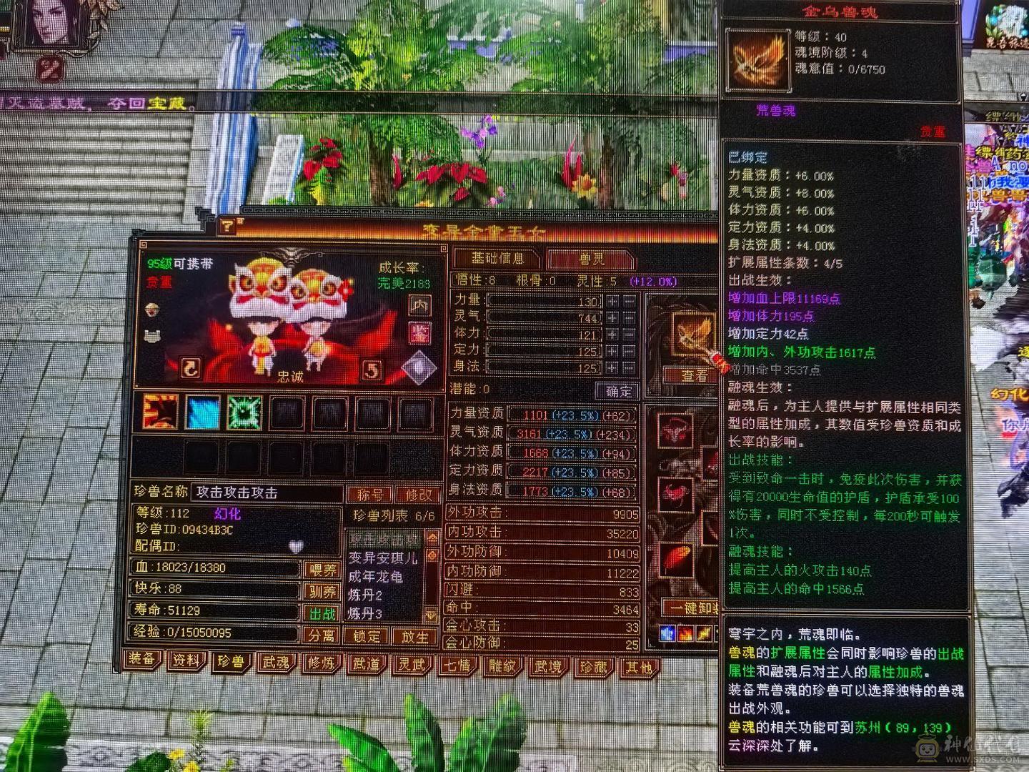 5体5属双休逍遥  