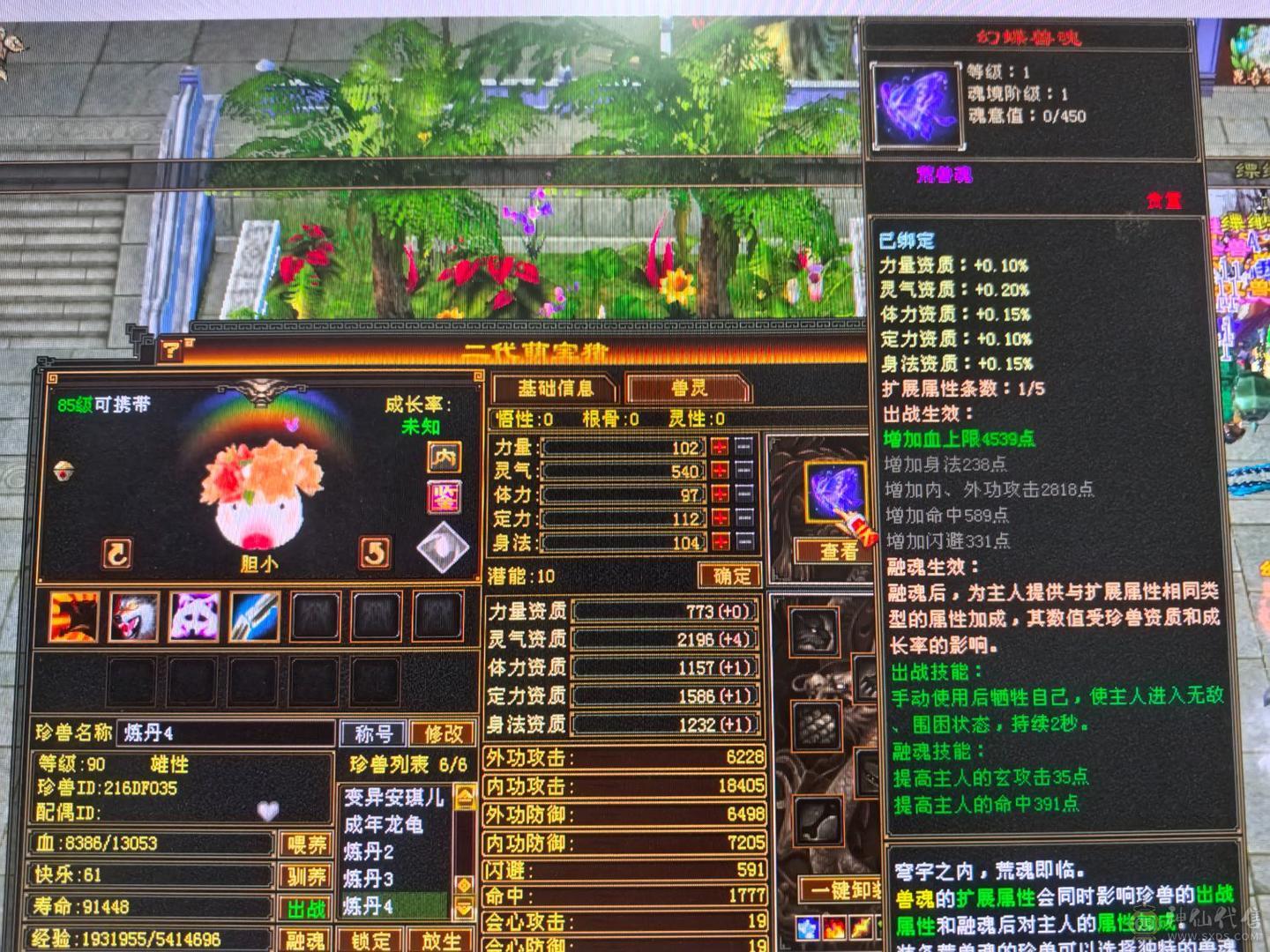 5体5属双休逍遥  