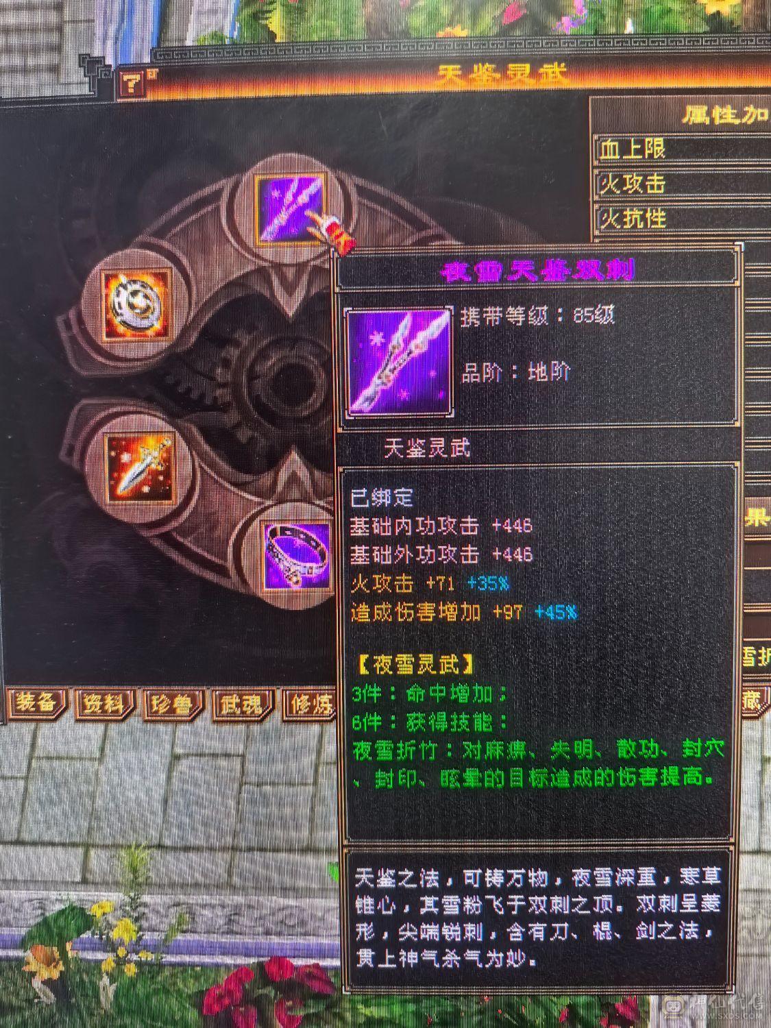 5体5属双休逍遥  