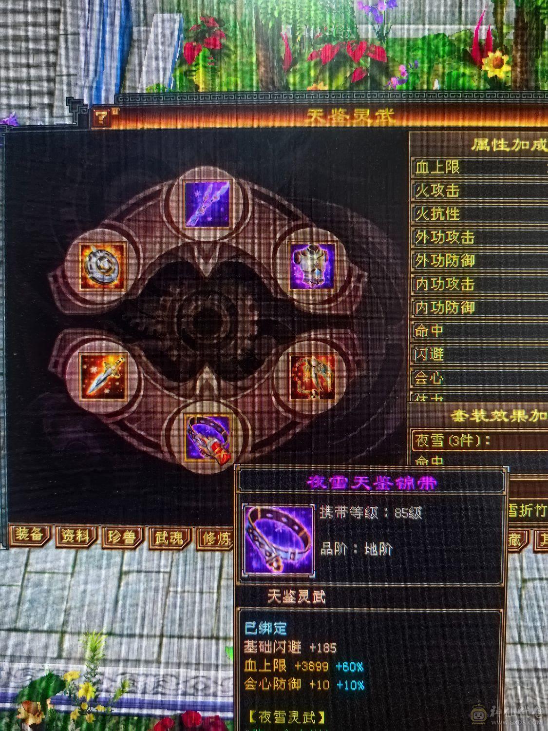 5体5属双休逍遥  