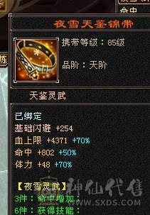 『阿伟•推荐』极品三修增伤型 6减天山 9雕 无精华盟会状态 6神橙兽 赤兔坐骑+各种时装 9星完美血衣 所见即所得