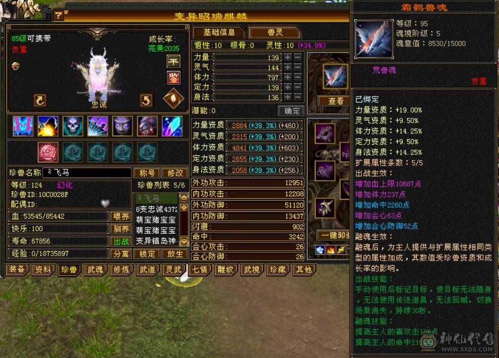 （梳子推荐）8个5减  带3个6级的抗  裸面板没吃精华号一直在更新新雕文全部4级了没吃药 诚心出 