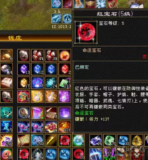 天天玩天天更新