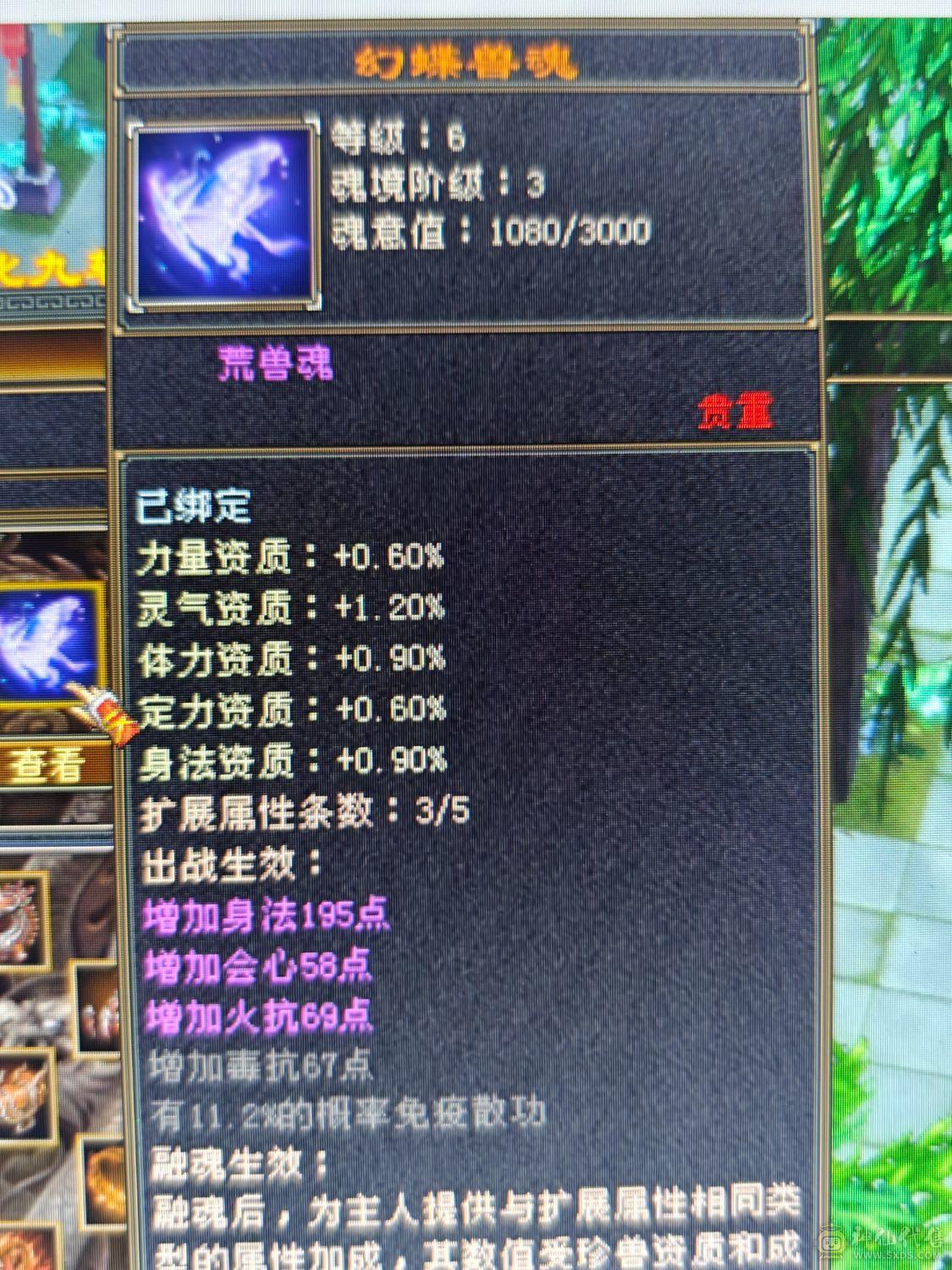 天天玩天天更新