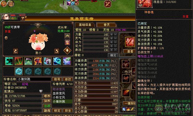 6体 赤兔 外观多