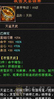 全满5冰武当。主属5710。5万+高命中.300+高会心。两套轻松秒50万血。副本打人嘎嘎猛.895大完美武魂带双十附体。4神半