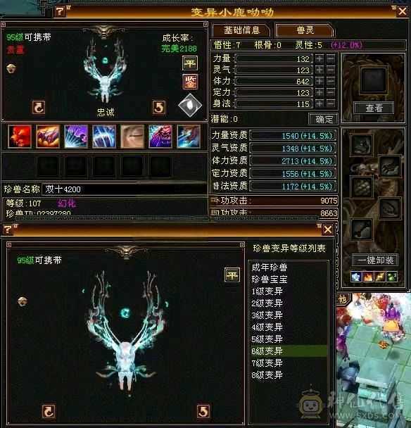 宝宝全带，稀有时装，细节拉满，一分不用花，剩下的交给时间，你只管享受