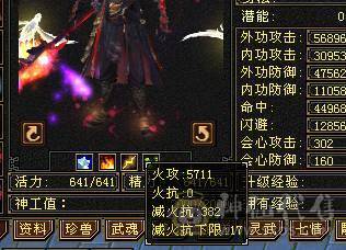 真满5带6，满状态49万高血量，随时可以50万血，满状态火6127，伤害超级高，炎龙最高200W伤害，带3400元宝