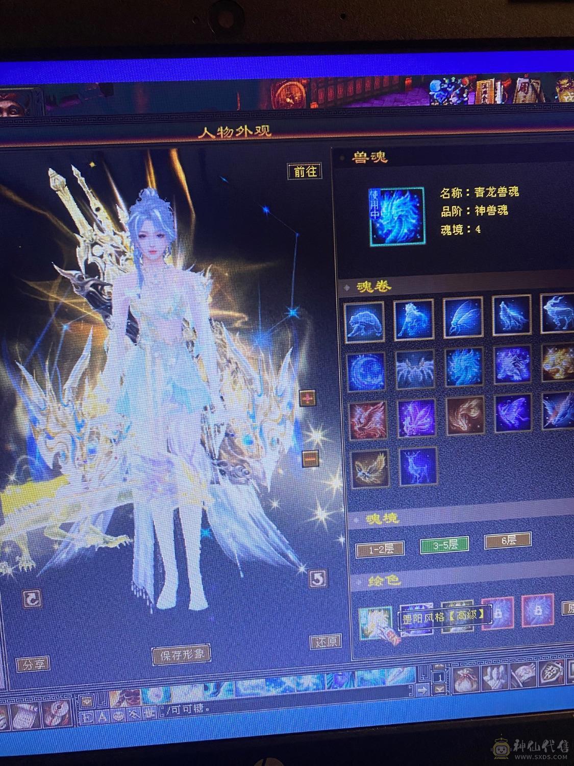 精品五周年全套 金乌坐骑无精华  