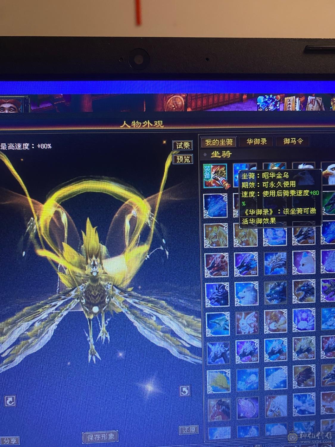 精品五周年全套 金乌坐骑无精华  