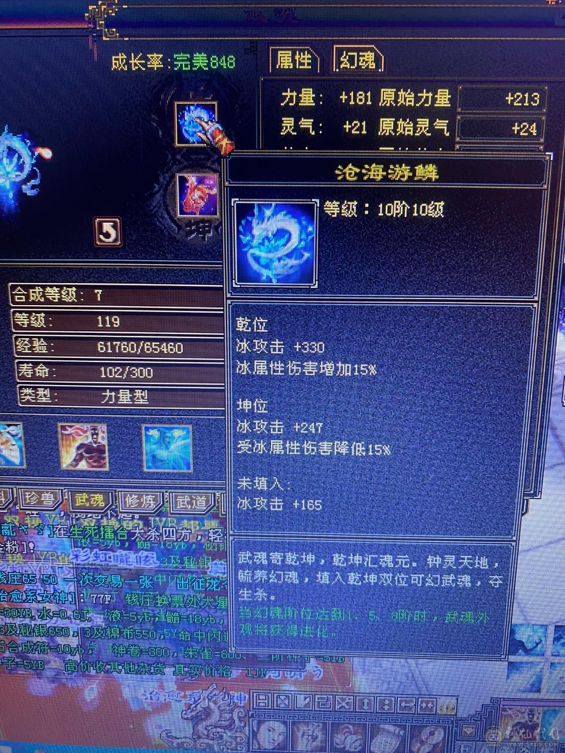 精品五周年全套 金乌坐骑无精华  