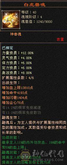 戴叶推荐--极限5带6 五修高伤气武当