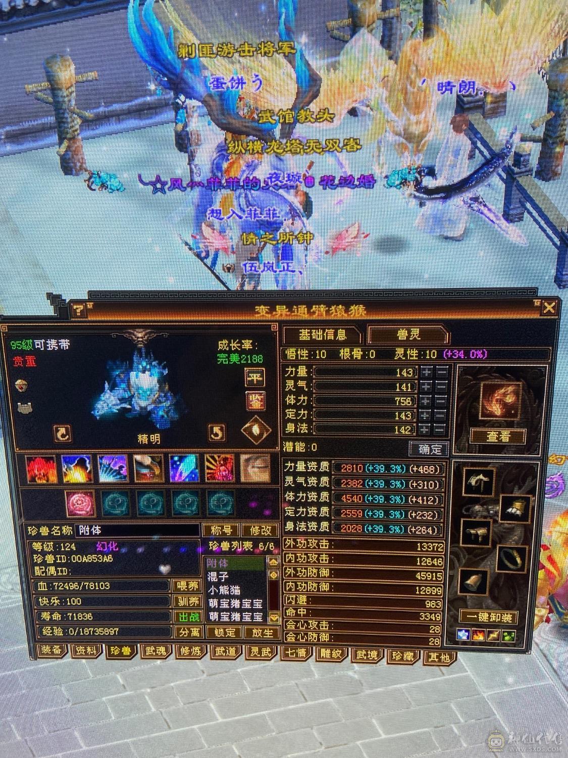 高血 高属性暴力天山