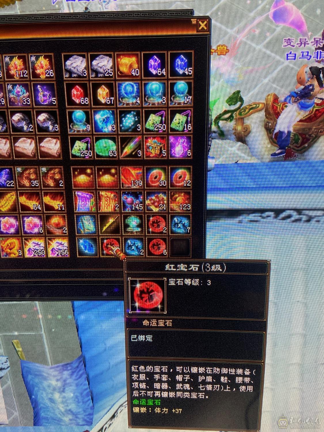 高血 高属性暴力天山