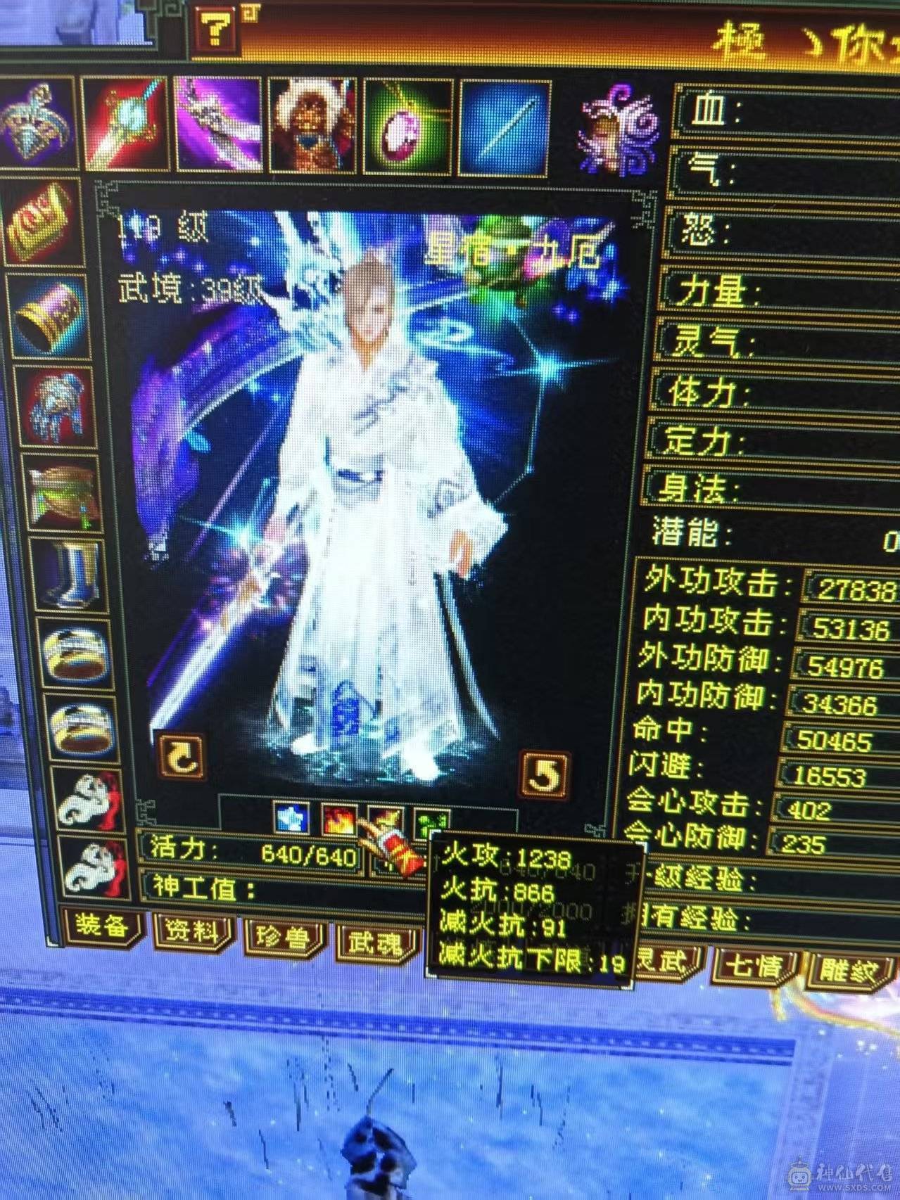 7体7属性 6神1000++火炕 火毒双下限   带黄金宝马 能抗 能打 喜欢的来  可以火毒冰3修  可以 火玄双抗