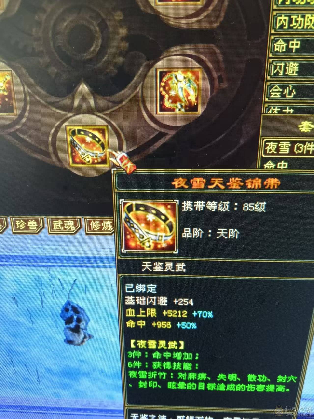 7体7属性 6神1000++火炕 火毒双下限   带黄金宝马 能抗 能打 喜欢的来  可以火毒冰3修  可以 火玄双抗