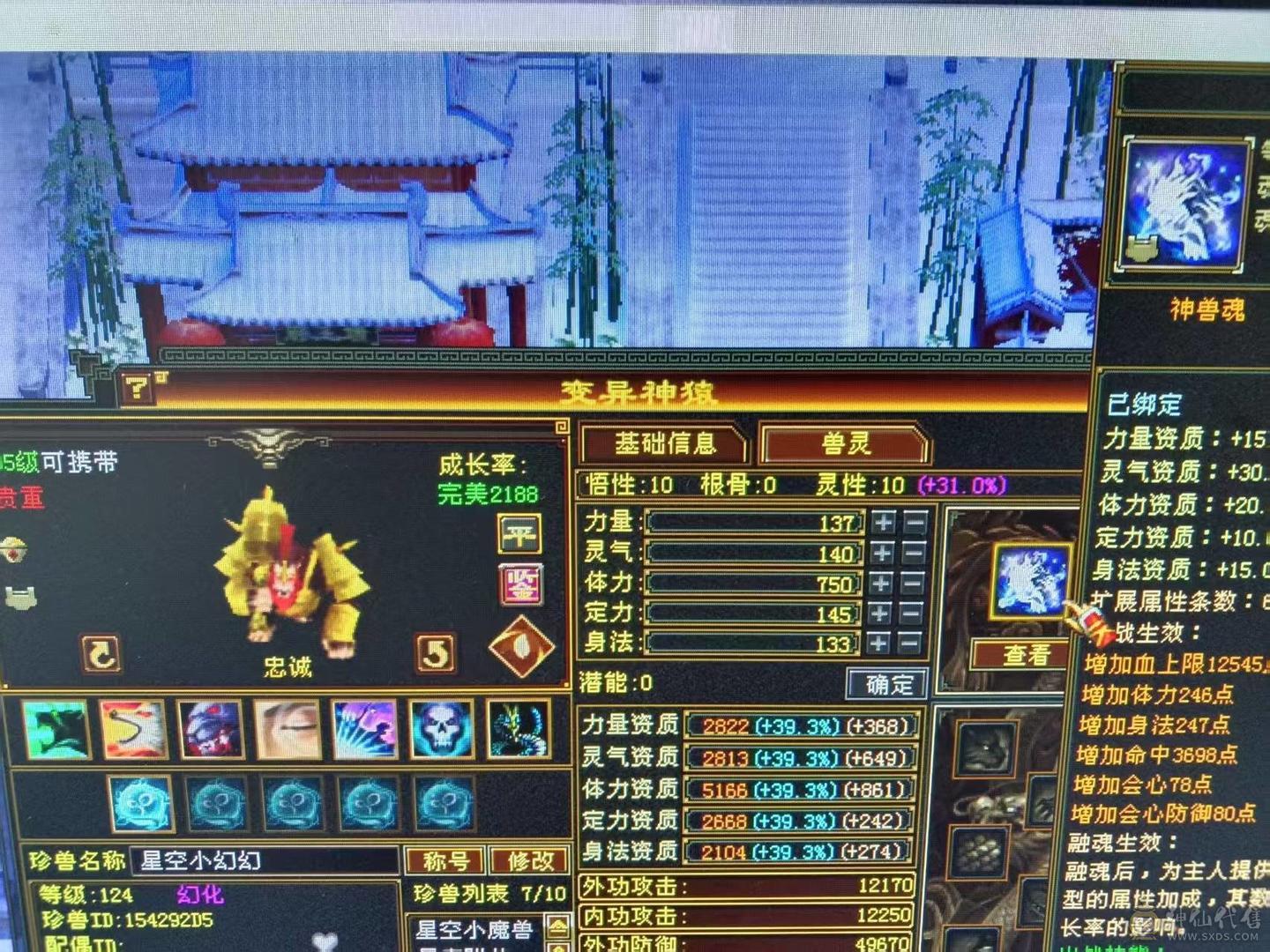 7体7属性 6神1000++火炕 火毒双下限   带黄金宝马 能抗 能打 喜欢的来  可以火毒冰3修  可以 火玄双抗