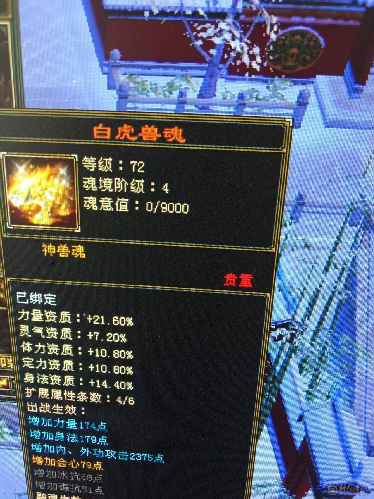 7体7属性 6神1000++火炕 火毒双下限   带黄金宝马 能抗 能打 喜欢的来  可以火毒冰3修  可以 火玄双抗