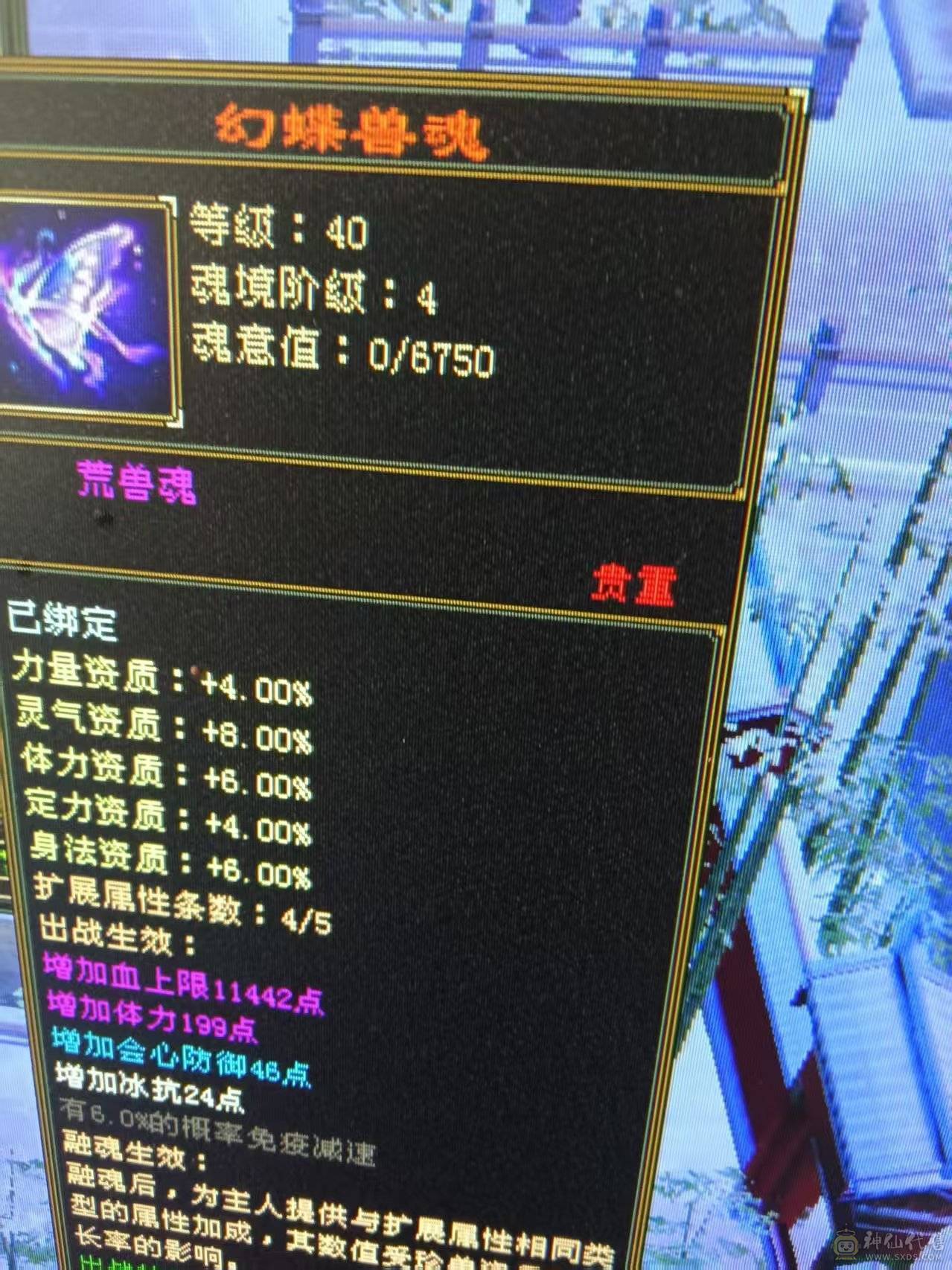 7体7属性 6神1000++火炕 火毒双下限   带黄金宝马 能抗 能打 喜欢的来  可以火毒冰3修  可以 火玄双抗