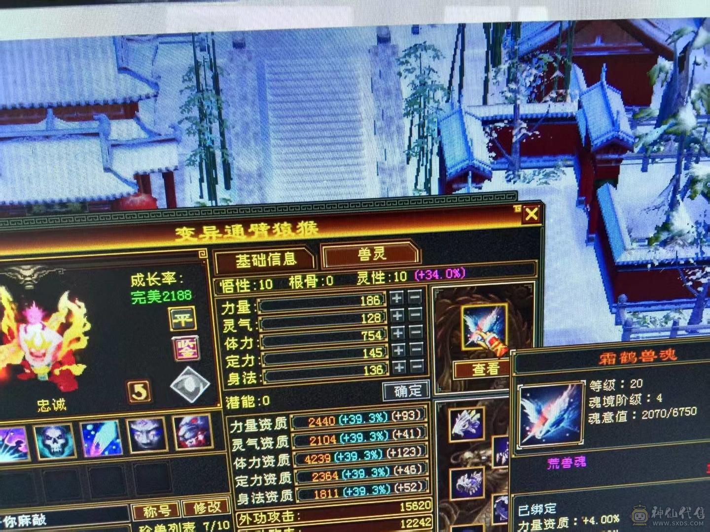 7体7属性 6神1000++火炕 火毒双下限   带黄金宝马 能抗 能打 喜欢的来  可以火毒冰3修  可以 火玄双抗