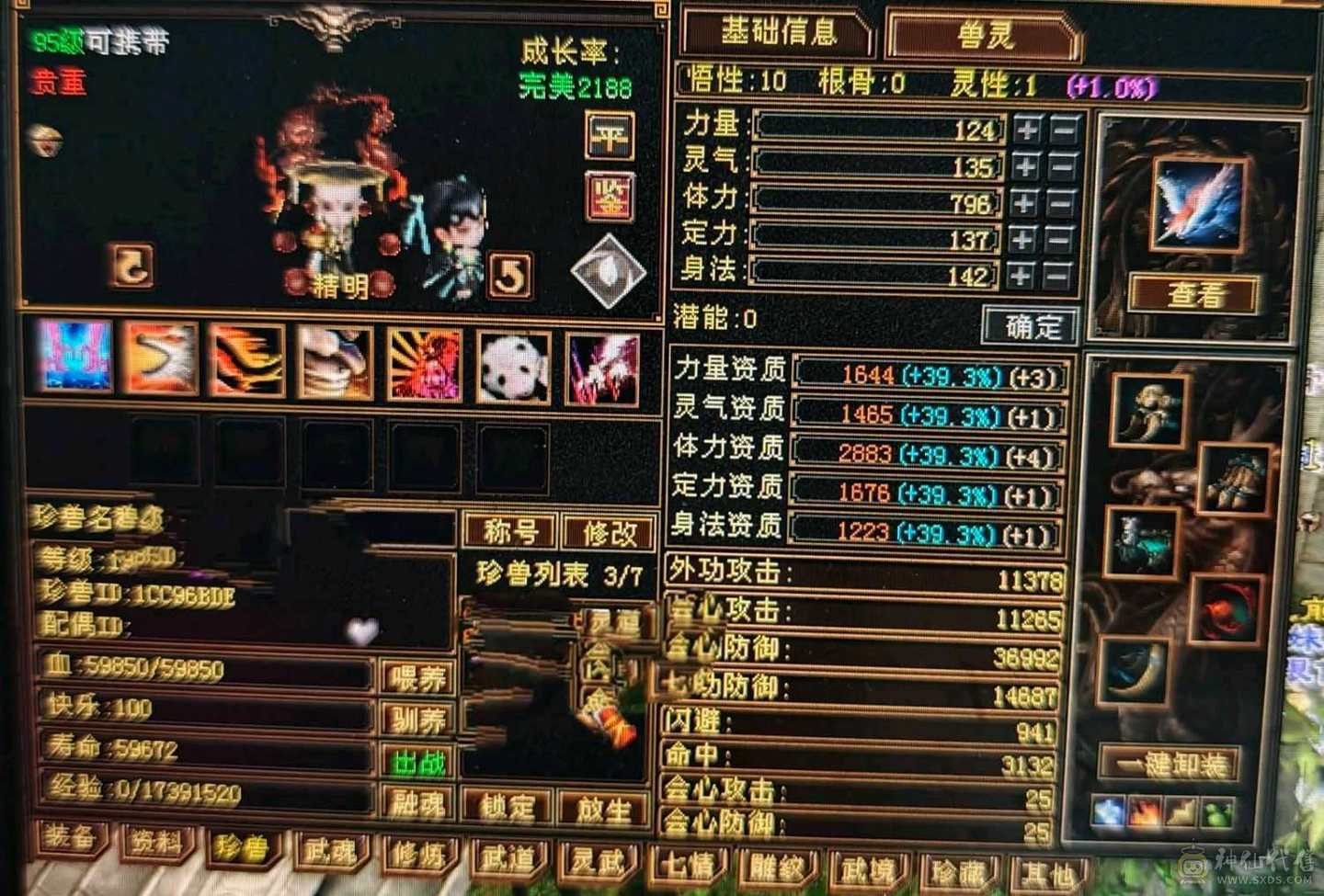 全部大成高会防卡110，极限面板可对比，六级以下无敌