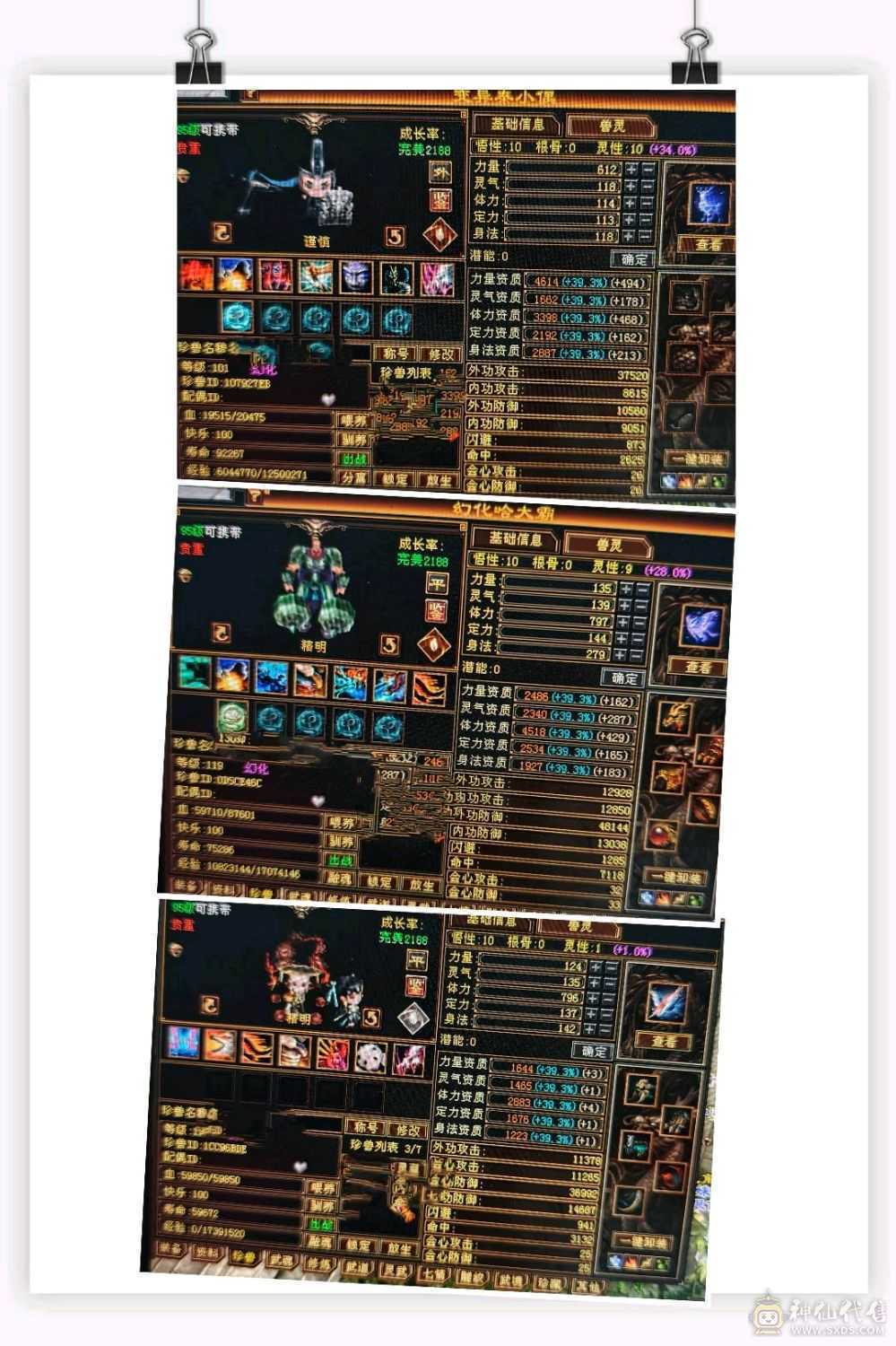 全部大成高会防卡110，极限面板可对比，六级以下无敌