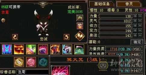 极限五带六五神四修气武当秒价，有石头装备可玩摘星，天山