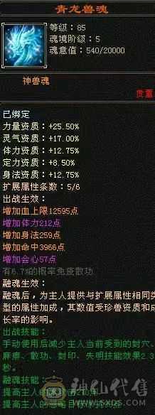 极限五带六五神四修气武当秒价，有石头装备可玩摘星，天山