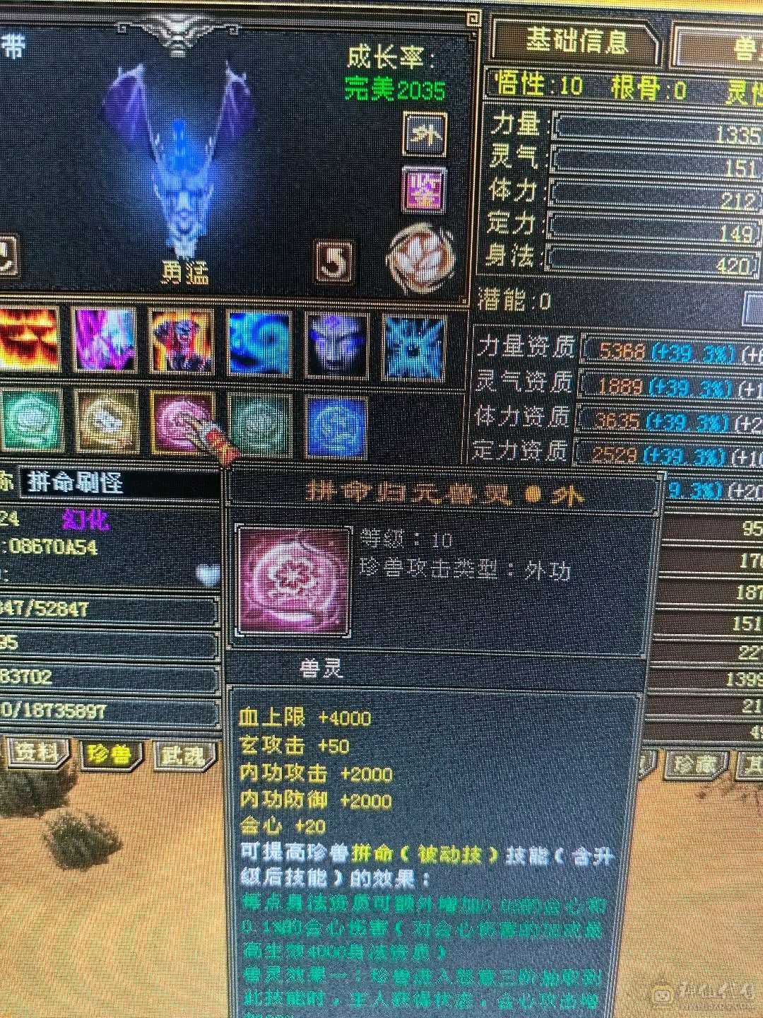 带所有，宝宝价值5000