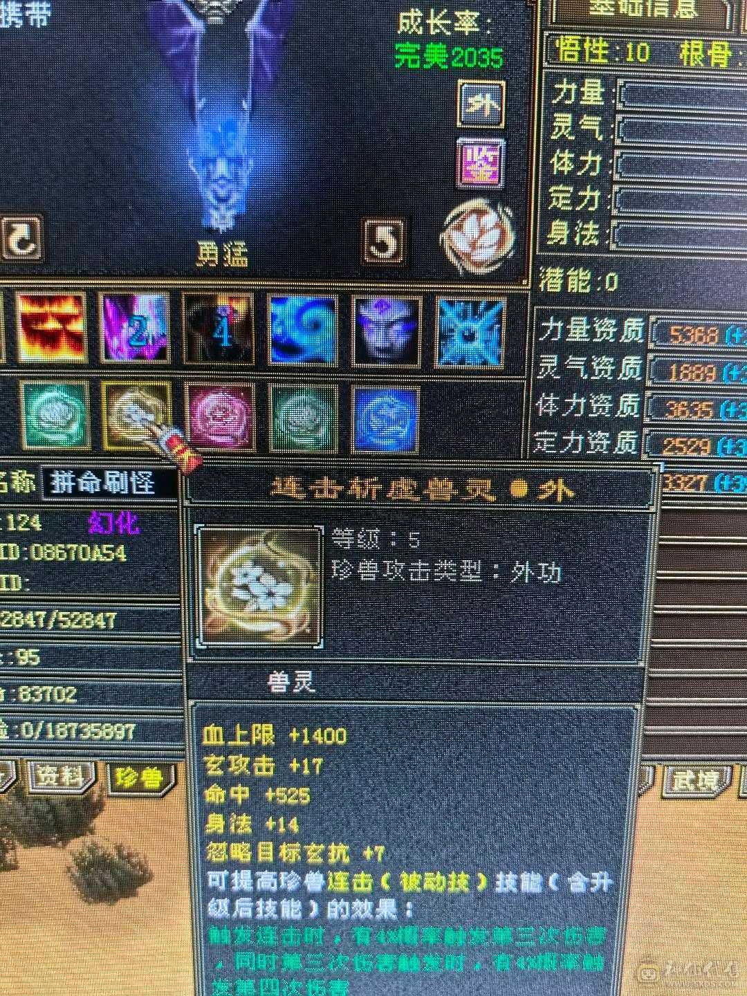 带所有，宝宝价值5000