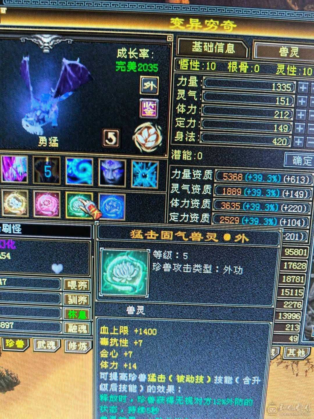 带所有，宝宝价值5000