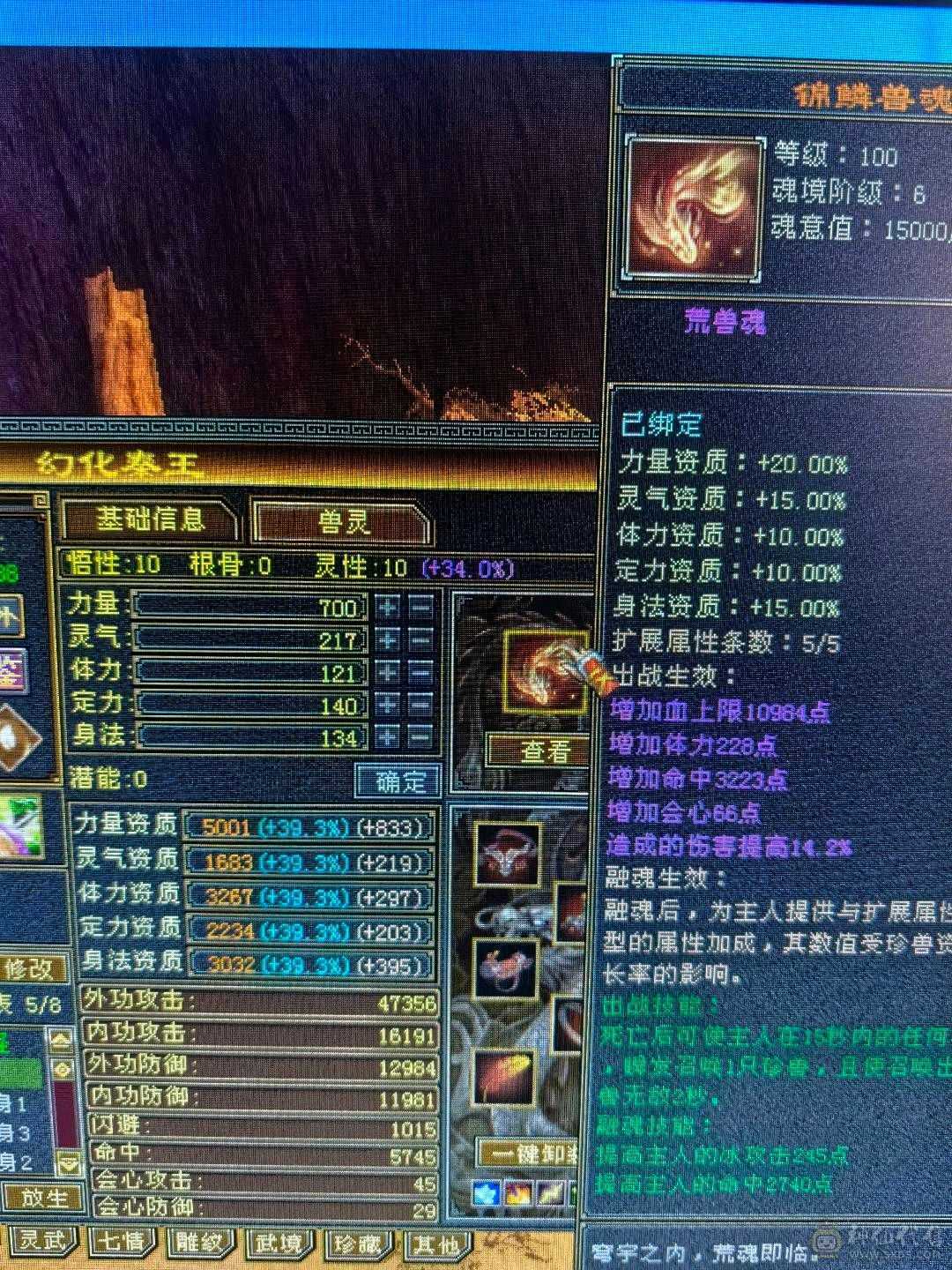 带所有，宝宝价值5000