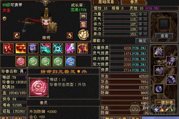 实力与花瓶并存 断桥 金翅膀 装备细节 带所有出