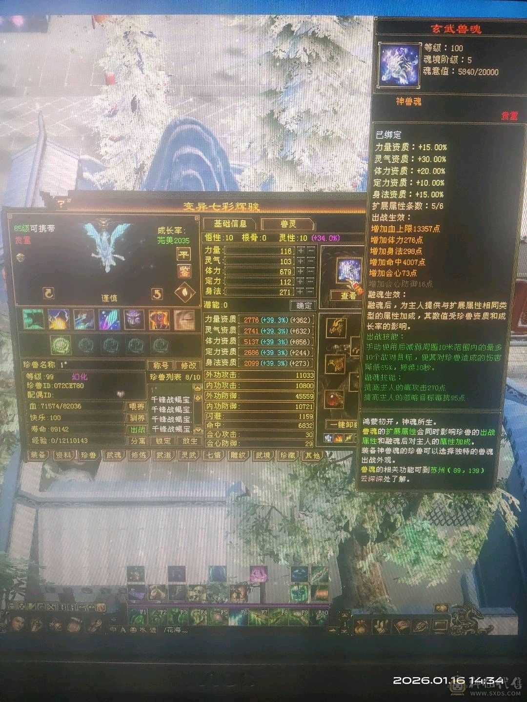 三修加增伤伤害屌爆了，祝融金甲，雪猿幻饰多多