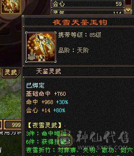 6级天山带永久坐骑