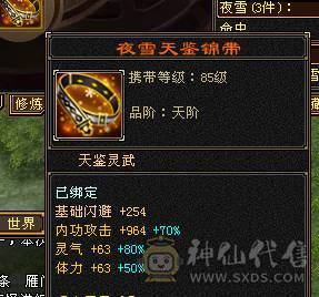 6级天山带永久坐骑