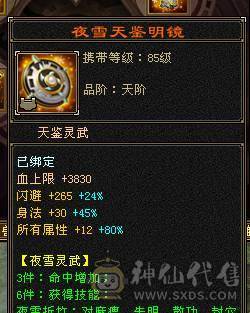 6级天山带永久坐骑