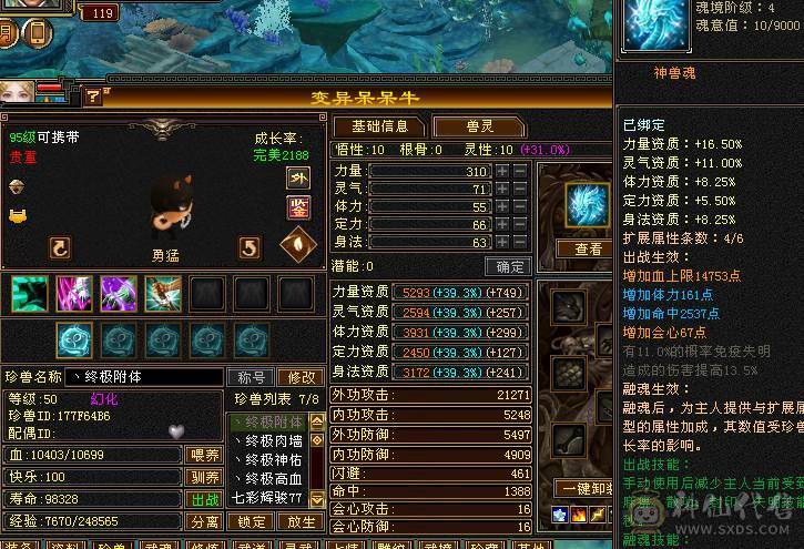 6级天山带永久坐骑