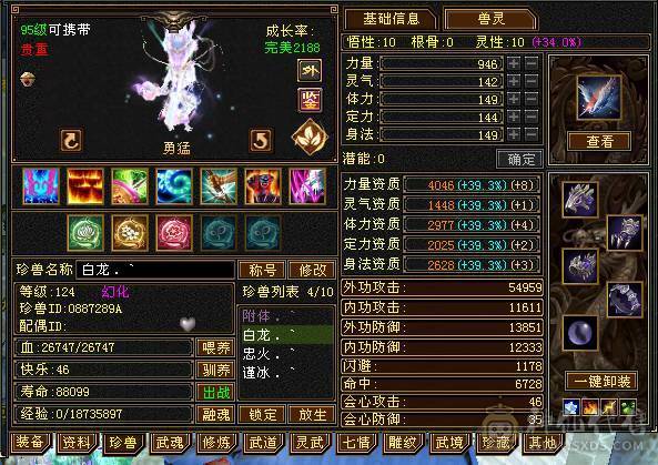 阿伟推荐！细节增伤星宿，新雕文5+，神兽5阶。带商会。