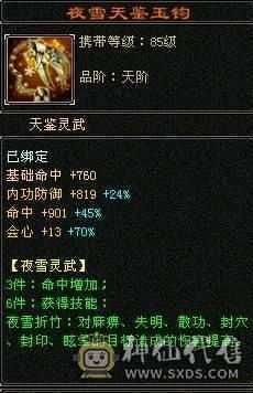 5100附体双10 5700属性，6万命中！425会双19下限 带俩双十，大完美武魂