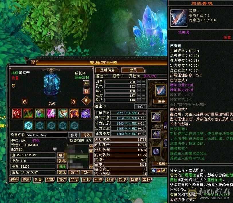 5100附体双10 5700属性，6万命中！425会双19下限 带俩双十，大完美武魂