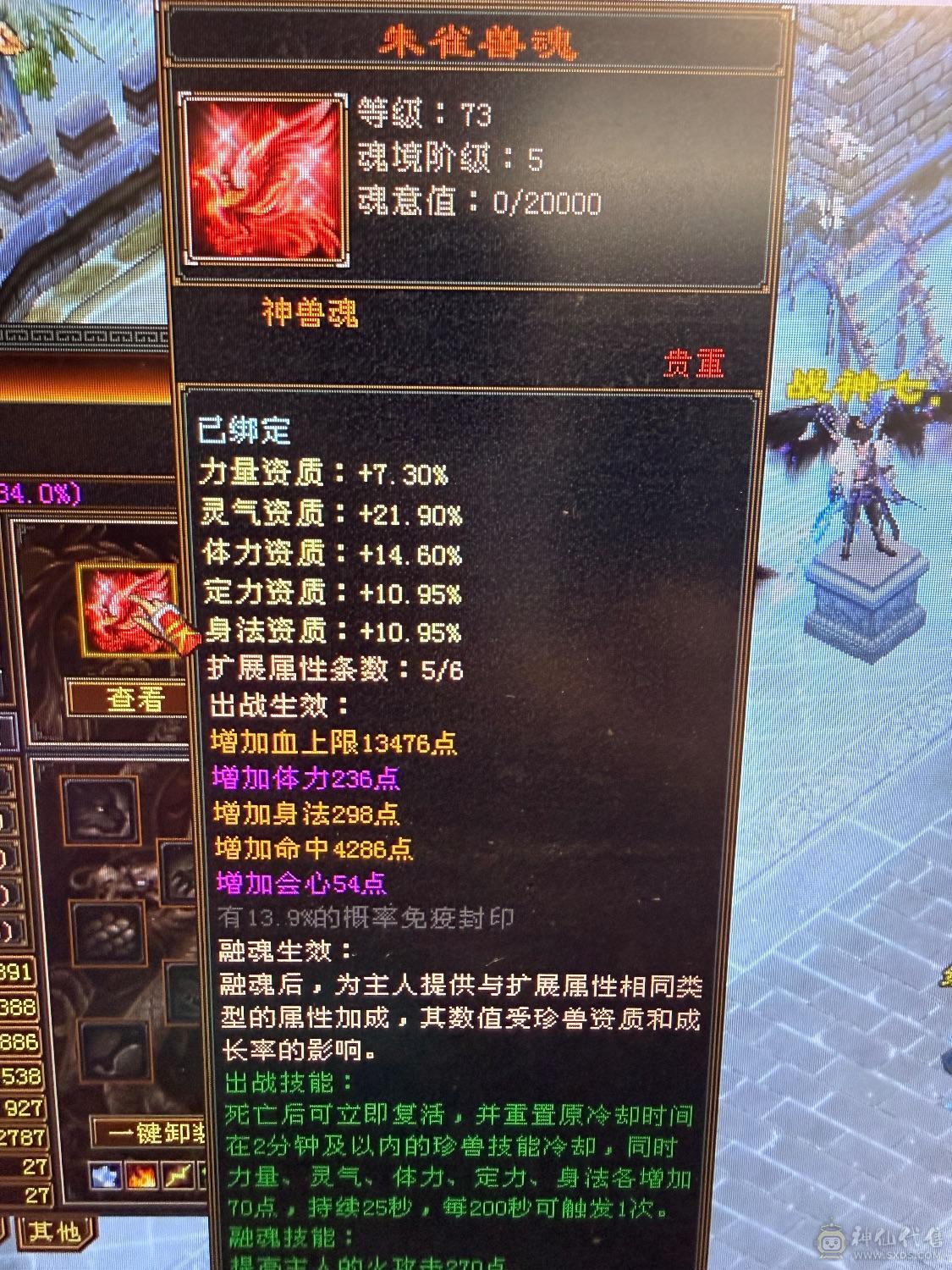 细节明教6体大半六属性裸面板60万血