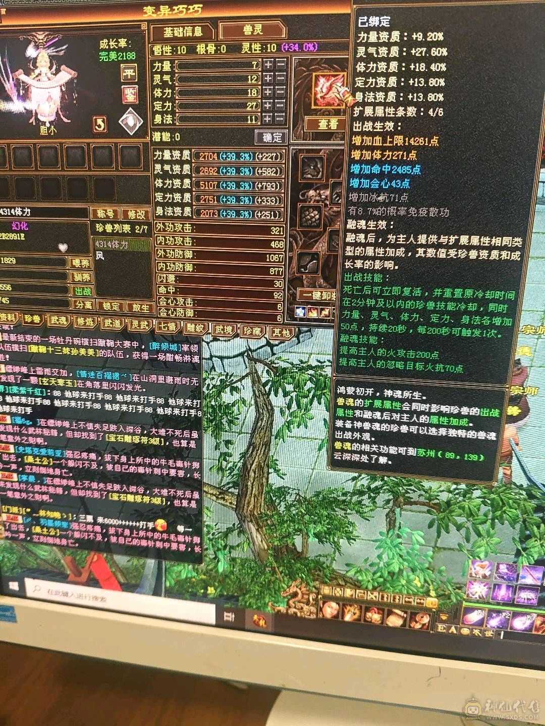 满5，高伤害，高血量，高会心