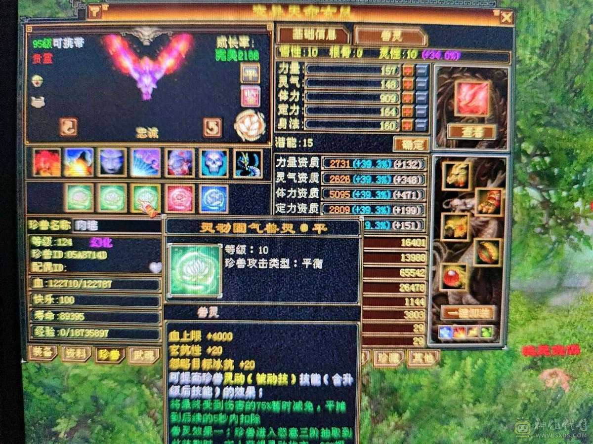 顶级6带7级～赤兔坐骑～冰玄毒～无敌丹～三修星宿～10级拼命金龙。5个10级兽灵 灵动体凤凰。