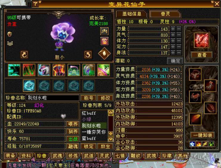 极品六级逍遥，全身8雕，BB全带！