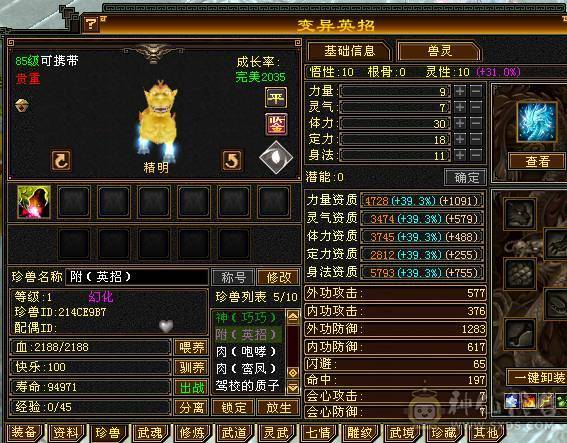 温暖推荐-极限6天山-4修-6神-裸面板！